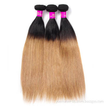 High Quality Double Drawn Brazilian Human Hair Bundles 1B 27 ombre colored Hair Extensions straight Bundles